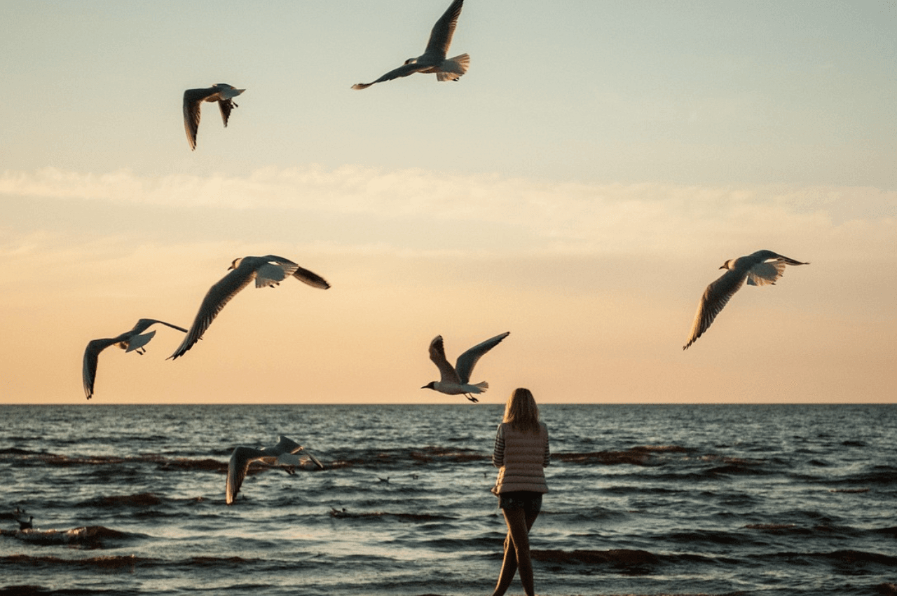 Mujer sola frente al mar al atardecer con gaviotas volando alrededor.